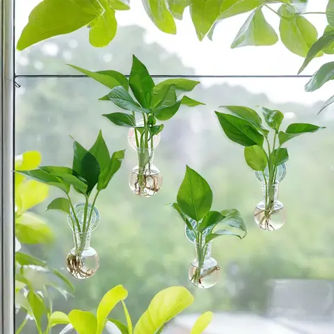 4-Piece Hook-Mounted Wall Hanging Plant Propagation Stations - 4 Plastic Bulb Vases, 2.56" Width Transparent Terrarium Vases, No-Nail Easy-Install Suction Cup Window Mount Home Organizer Hooks, Ideal Best Gift for Mother's Day-Teacher’s Day Home Decor, Na