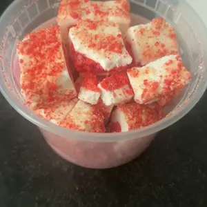 G-BOX Freeze Dried Ice Cream | Crunch Strawberry Shortcake Ice Cream Bites - Chocolate Eclair Ice Cream Bites - Perfect for Camping, Outdoor, and Party - Air-tight Sealed in a Deli Container