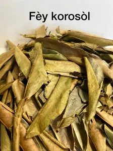 Fèy Korosol ki soti nan tè ayiti