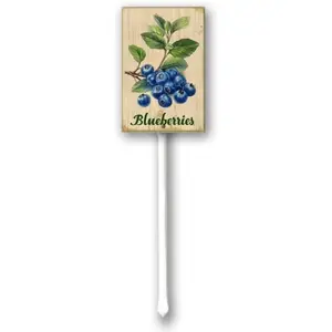 Uptell Funny Blueberries Metal Fruit Garden Sign Yard Art for Garden Outdoor Decor, Farmhouse Outdoor Plaque Sign for Potting Shed, She Shed 8x12inch