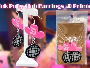 Pink Pony Club Chappell Roan Dangle Drop Earrings 3D Printed
