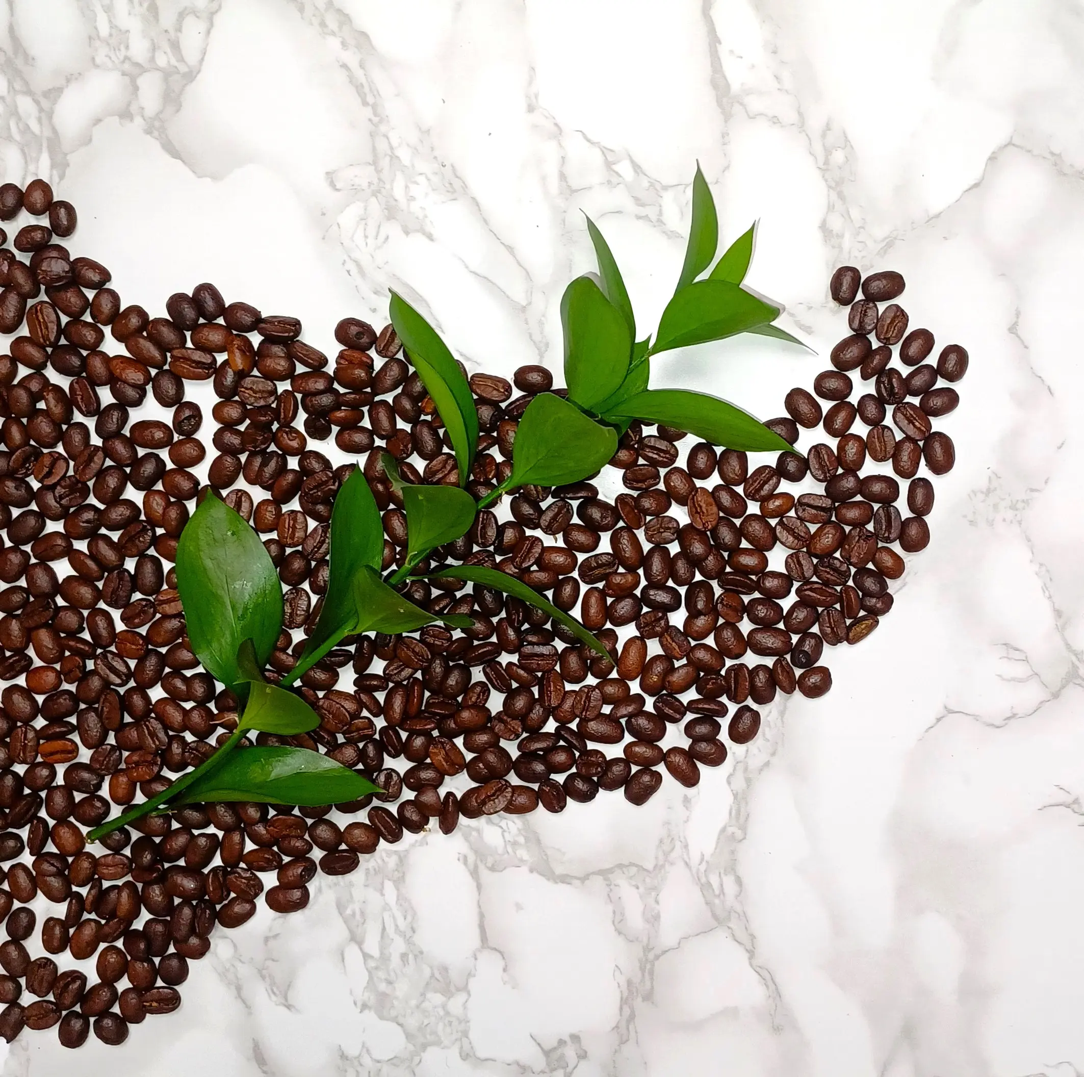 Luxuriousness, Luxury Coffee, High Quality Flavor Budget Friendly Price, At Home Coffee Dark Bean