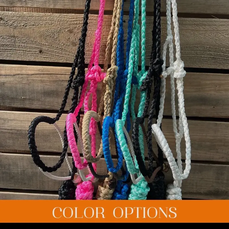 Rodeo Drive Horse Size Lariat Mule Tape Halter with Removable Lead Rope Noseband 27" Comfort Fit Available in Six Color Combinations