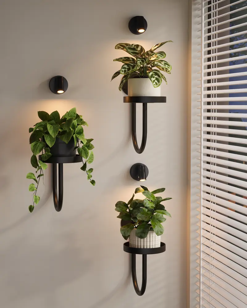 fern hanging plant Nearly Natural Boston Fern Hanging Basket