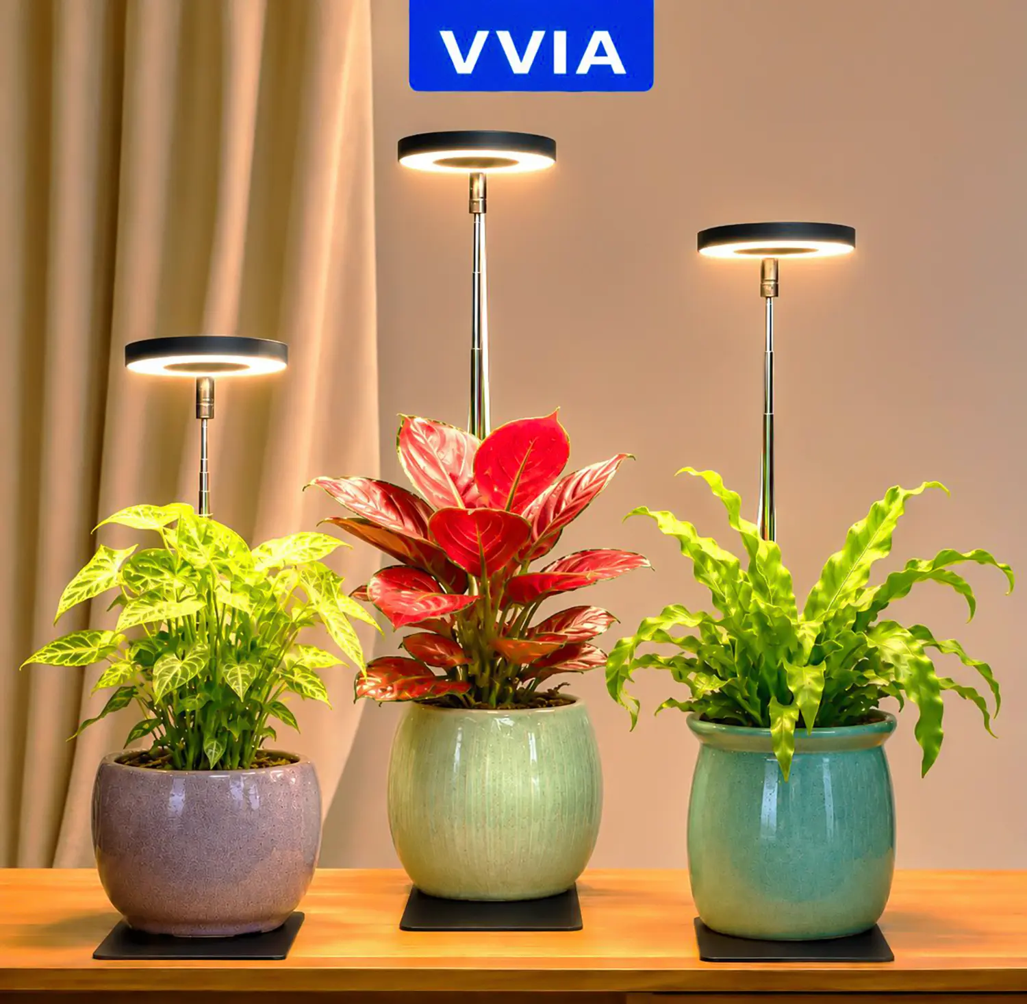Full Spectrum LED Grow Light for Indoor Plants - Enhanced Detachable Adjustable Stand, 3-Level Dimmable, 3/9/12H Timer, USB Light for Small Indoor Plant Growth