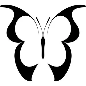 Wood Nymph Butterfly Stencil