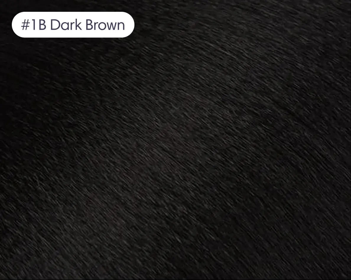 #1B Dark Brown