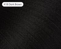 #1B Dark Brown