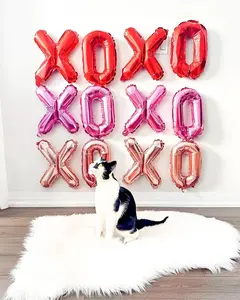 Galentines Day Party XOXO Balloon Banner | XOXO Balloons | Valentine's Balloons | Galentine's Day Decorations