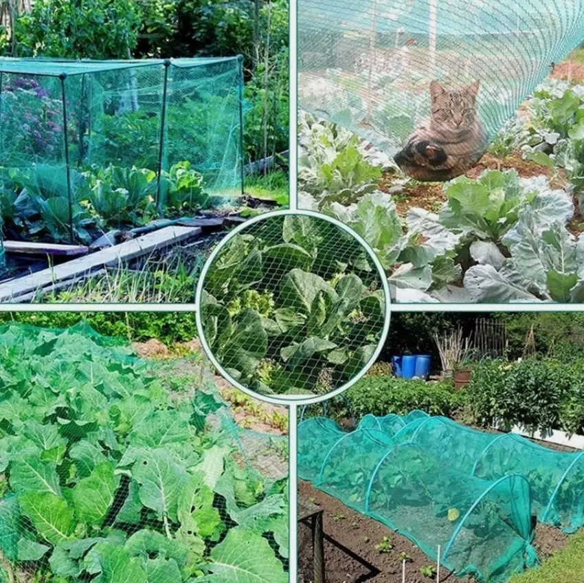 Breathable Anti-Bird Protective Mesh Net (33ft×16ft), Outdoor Cover for Fruit Gardens & Farm Crops to Keep Birds Away and Protect Plants