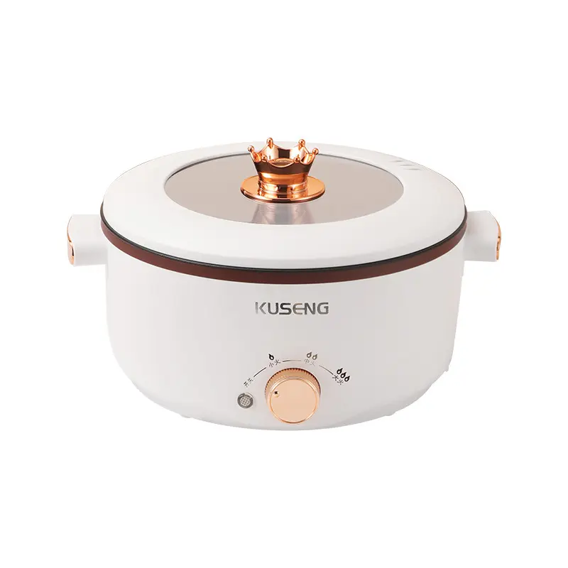 Small Overheat-Safe Household Integrated Multifunctional Electric Cooking Pot - Non-Stick Frying, Boiling Pot, Portable for Family Dorm Daily Use, Household Appliances