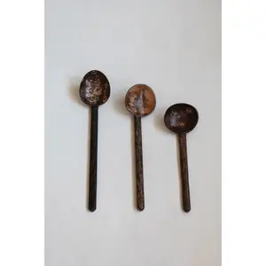 Coconut Shell Spoon