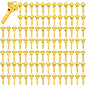 Brass Finish Uncut 6 Pin SC4 (6SH1) Key Blanks, 100-Pack Durable Blank Keys for Locksmithing and Lock Replacement