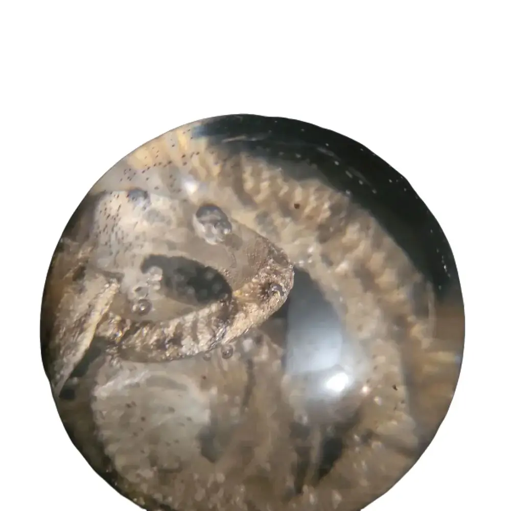 mummified snake is resin Sphere #2 Decor