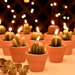 12pcs Cactus Succulent Tealight Candles Mini Novelty Plant Candles Bulk for Boho Mexican Fiesta Bridal Baby Shower Party Favors Decorations