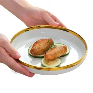 Steak Plate, Modern Serving Plate, Household Dinner Plate, Serving Plate for Home Party & Entertainment, Kitchen Accessories