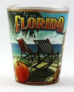 Florida State Mural Shot Glass jks