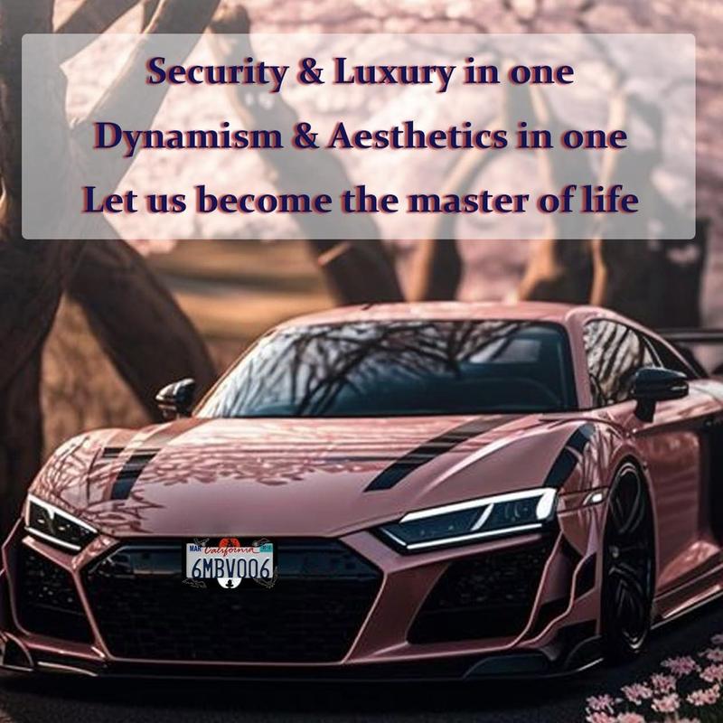 Cute Anime Aluminum License Plate Frames (2pcs Black) – Fits Standard US 12.2x6 Inch Vehicles, for Men  Women