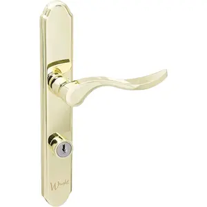 Serenade Mortise Keyed Lever Mount Latch with Deadbolt for Screen and Storm Doors, Polished Brass