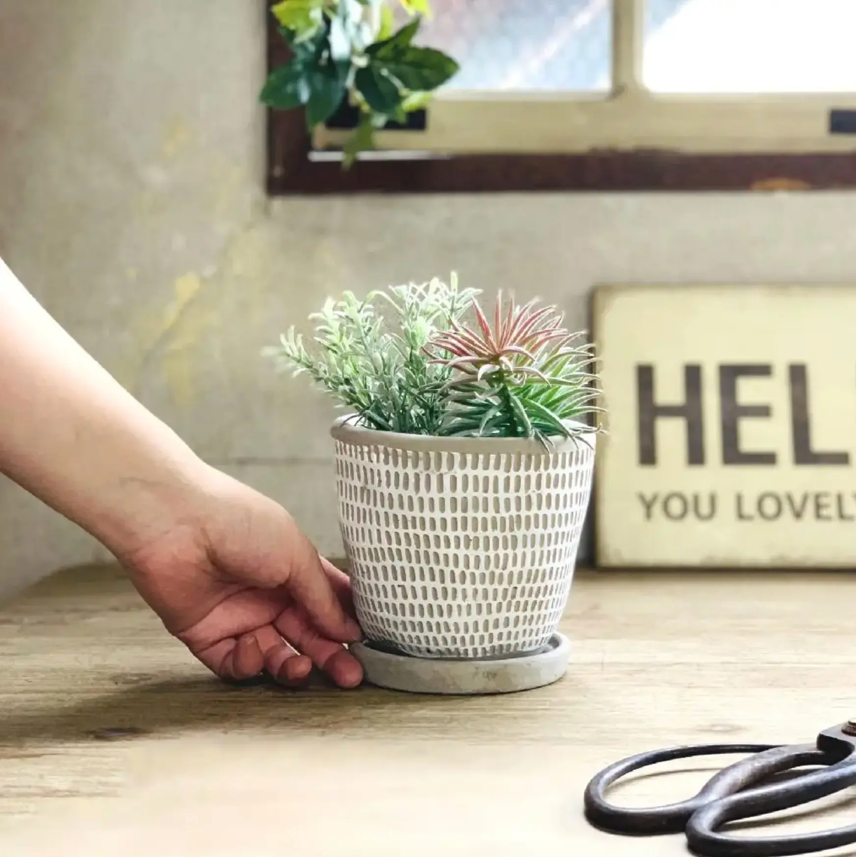 Dotted Cement Planter Dotted Cement Planter