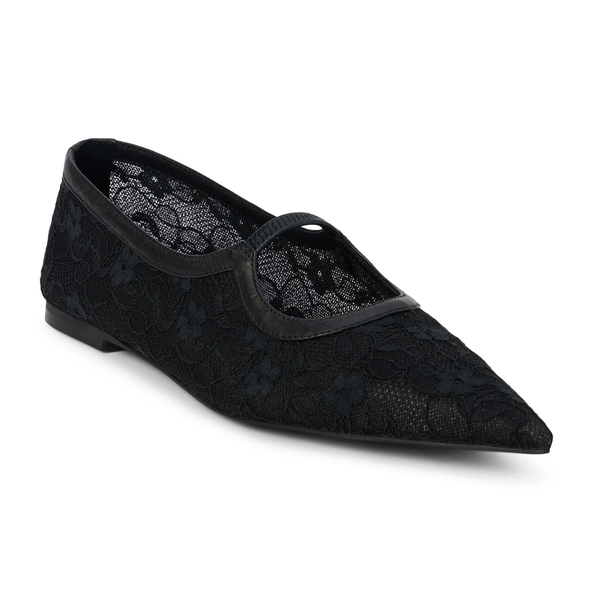 Matisse Pointed Toe Ballet Flat- Fleur Matisse Pointed Toe Ballet Flat- Fleur