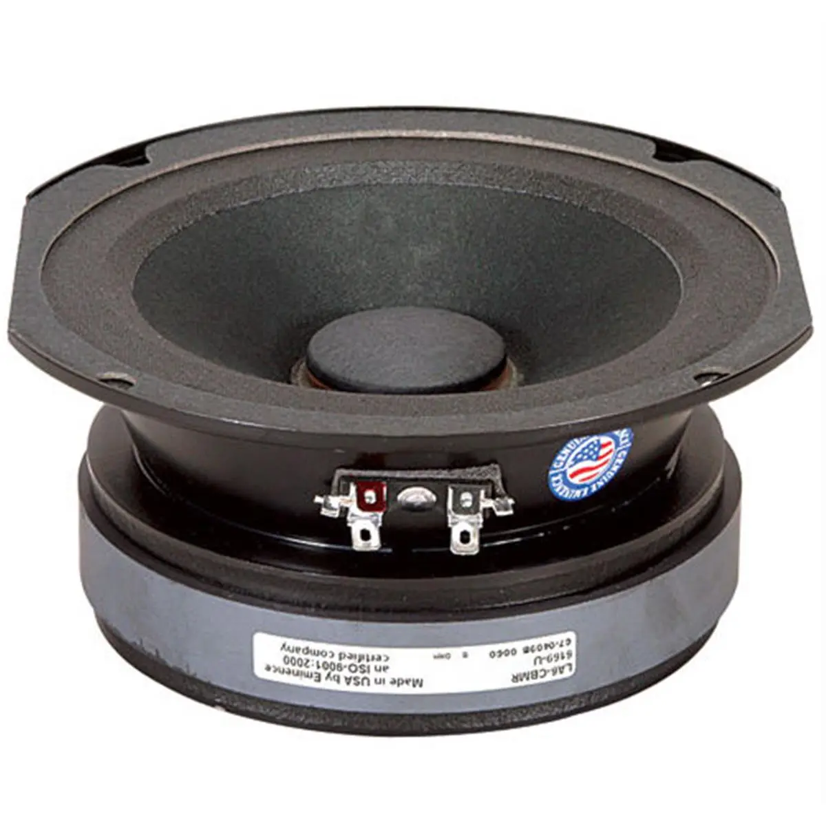 212 MAIN Eminence Speaker LLC 300W Max Mid Speaker - Audio Component with Steel Construction, Power Rating Included