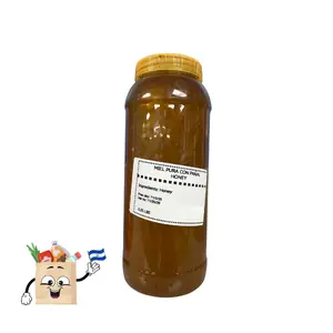 Miel Pura con Panal Salvadoreña