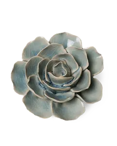 Powder Blue Amandine Ranunculus