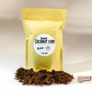 Organic Coconut Coir - Decorative Plant Topper - Growing Medium - Plant Based