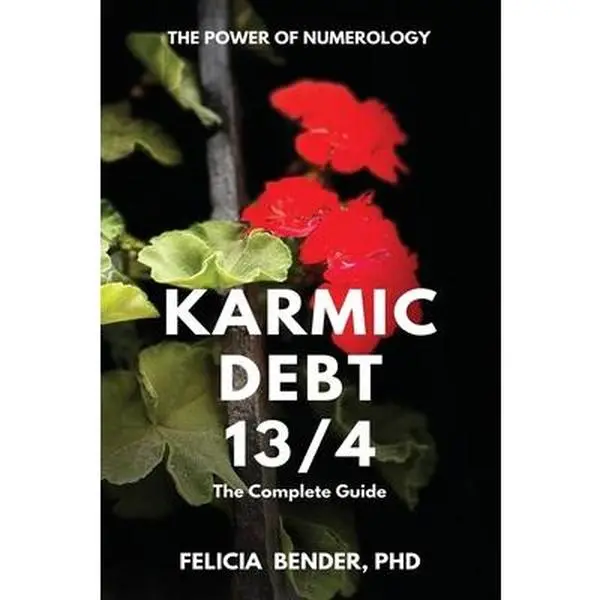 USED Book - The Power of Numerology: Karmic Debt 13/4 by Bender, Felicia (Paperback) - english