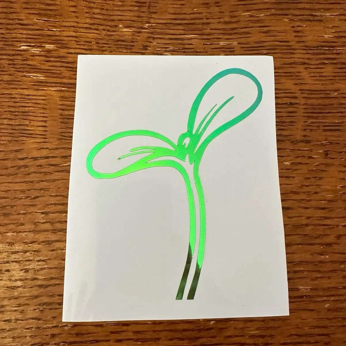 Sprout Clip Decal - Decorative Sticker for Home and Office