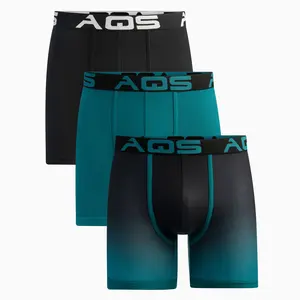 Ombré Briefs Athletic Fabric