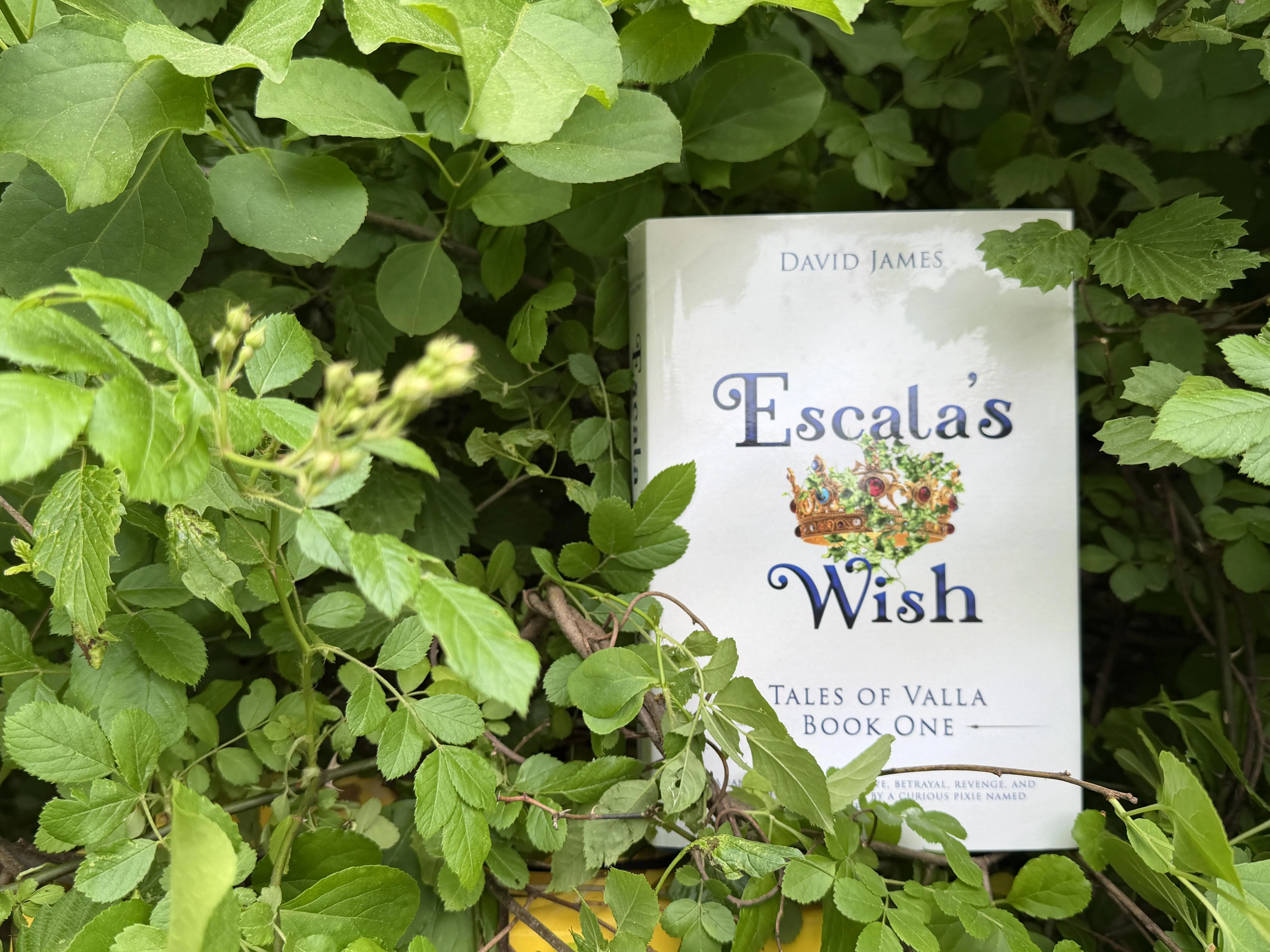 Escala's Wish