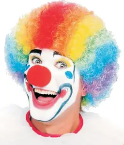 Colored Clown Wig