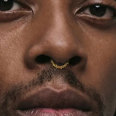 Double Eyebrow Piercing And Septum Double Nostril And Septum