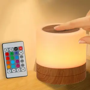 Night Light for , USB Rechargeable Small Desk Lamp,13 RGB Colors & 4 Brightness & 1 Remote, Touch Bedside Cordless Table Lamp, Portable Night Lamp for Bedroom Living Room  (Brown)