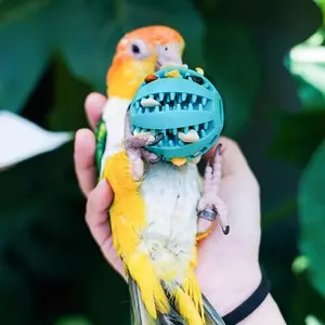 Interactive Parrot Foraging Ball, Durable Plastic Chew Toy, Suitable for Small to Medium Birds, Perfect for Cockatiels, Conures, Lovebirds