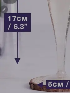 Champagne Glass Flute 17cm/6.3" Height 5cm/2" Base Elegant Drinking Glass for Special Occasions