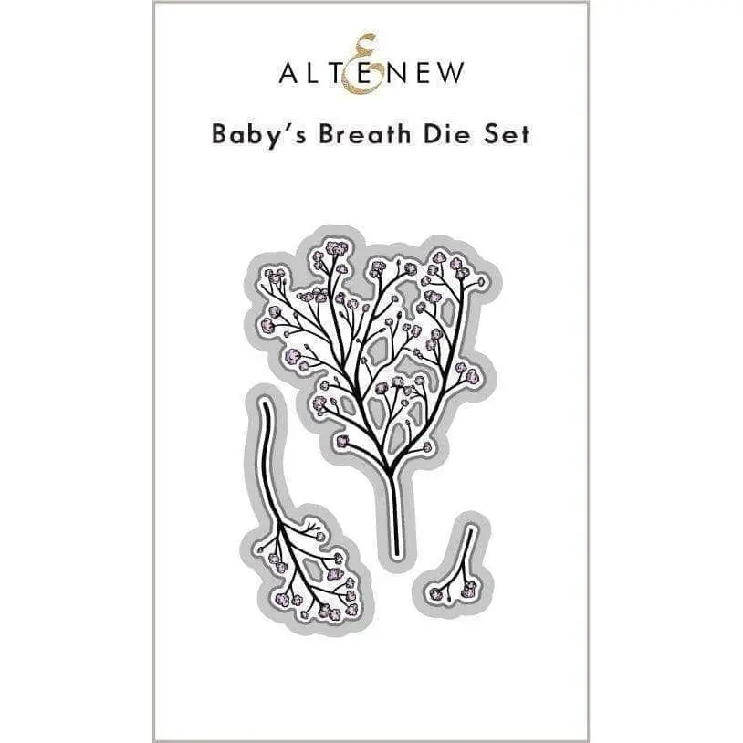 Baby's Breath Die