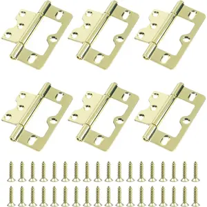 6 count Self Closing Door Hinges  Heavy Duty Gate Hinge Non-Mortise  Hinges Bifold Door Closer Exterior Screen Hardware with Screw for , Corner Cabinet Doors,