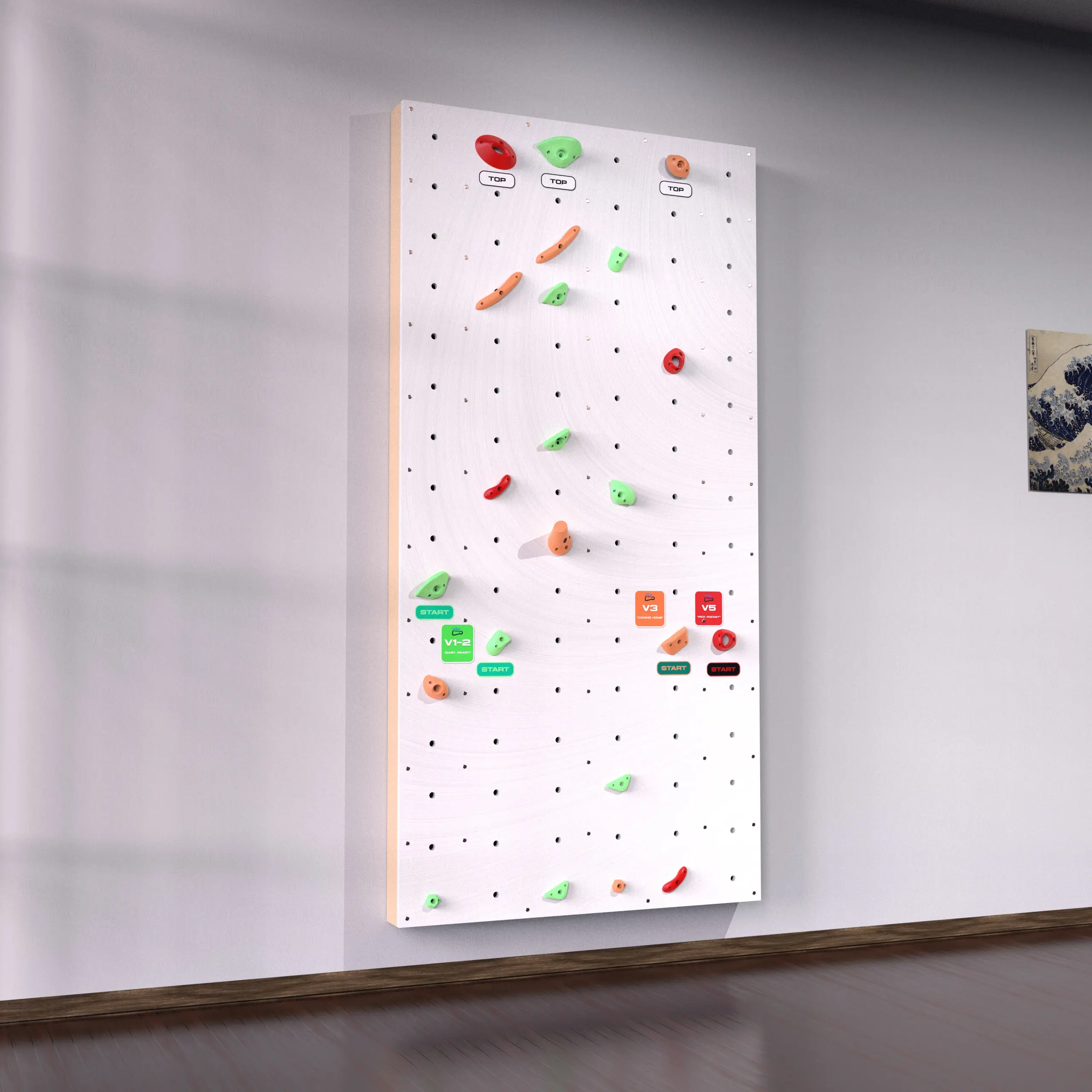 Home Climbing Wall Starter Kit - Made in the USA - 3 Bouldering Routes - 24 holds, hardware & wall instructions