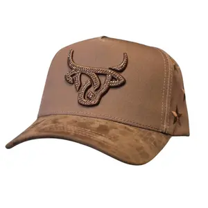 Lost Calf Unisex All Star Brown A-Frame Snapback Hat