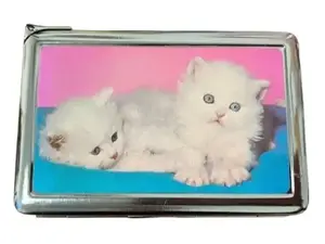 Vintage Photo Kittens Metal Case with Built in Lighter