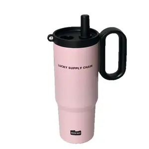 650ml Leakproof Insulated Tumbler with Straw Lid - Portable Stainless Steel Drink Flask for Tea, School & Work