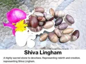 Shiva Lingham Tumbled Loose Natural Gemstone Crystal for Spiritual Growth Transformation Positive Energy Balance Harmony Creativity Stress Relief