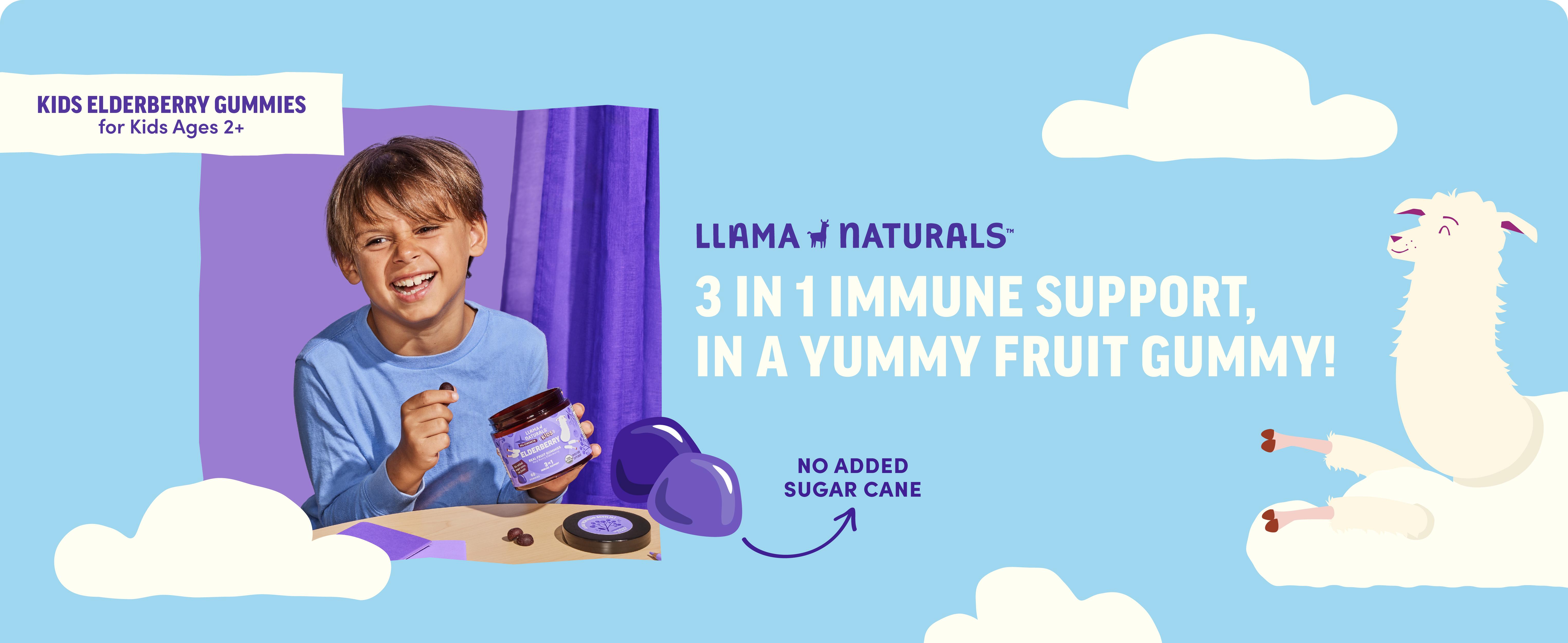 Llama Naturals Kids Elderberry Immunity Gummies - 35x Potent Organic Extract with Zinc & Vitamin C - Vegan, 60 Gummies for 30-Day Immune Support - Dentist Approved, Real Fruit Flavor