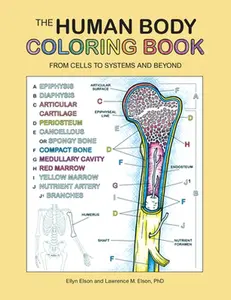 The Human Body Coloring Book: From Cells to Systems and Beyond -- Coloring Concepts Inc, Paperback