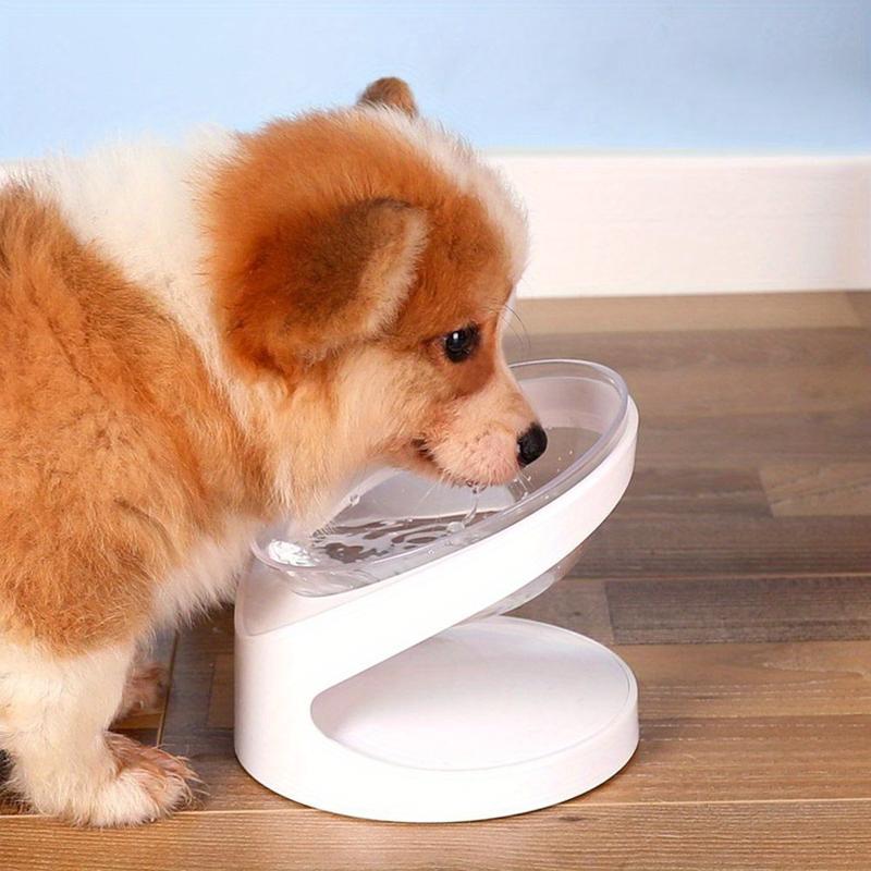 Ergonomic 15-Degree Tilt  , Suitable for Cats and Small Dogs - Neck Comfort Enhancing Stand, Anti-Vomiting Design, Smooth Curved Plastic  for Food and Water, White, Anti-Vomiting   | Fashion   | Stable   pet wate bowl