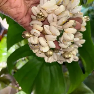 Shells and Bella anklets and bracelets