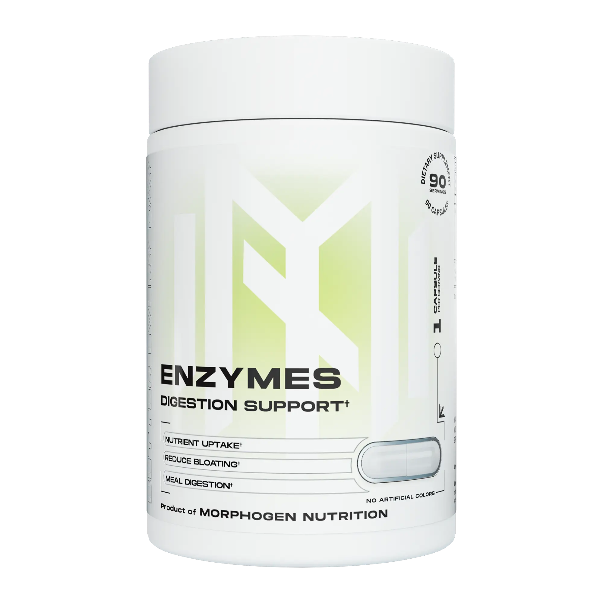ENZYMES: DIGESTION SUPPORT